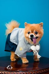 Ethereum钱包苹果版